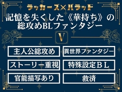 ラッカーズ・バラッド 第5章 [夢の主人公攻め工房]