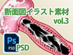 断面図イラスト素材 Vol.3 [Nocchi Girls]