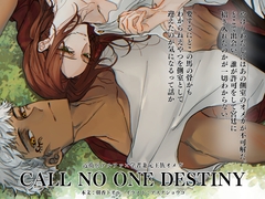 CALL NO ONE DESTINY [夜明け前に]