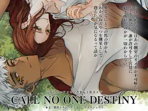 CALL NO ONE DESTINY