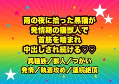 雨の夜に拾った黒猫が発情期の猫獣人で、屋敷の寝室で一晩中『俺の番だ』と首筋を噛まれ喉を鳴らして中出しされ続ける転生令嬢の話♡♡♡ [ドンブリ庫]