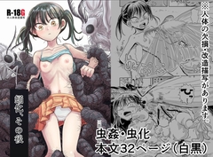 蛹化、その後 [三筋クエン酸]