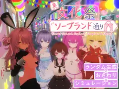 裏文化祭ソープランド通り [amera]