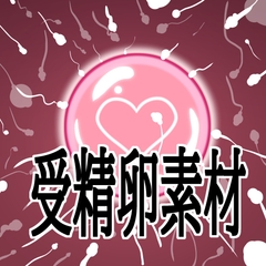 受精卵素材 [水の木]