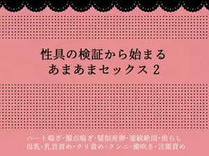 【DLsite専売】性具の検証から始まるあまあまセックス2
