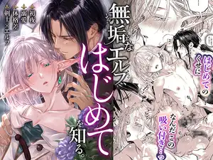 【DLsite専売】無垢なエルフ、はじめてを知る。