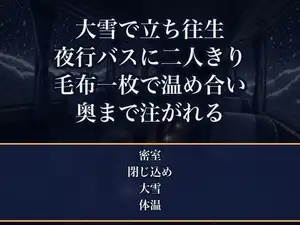 大雪で高速道路に立ち往生した夜行バスで無口な運転手と二人きり、暖房の切れた車内を毛布一枚で温め合ううちに朝まで何度も奥まで注がれた派遣OLの話