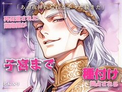 再召還された閨指南係が皇子に子宮まで種付け独占される話♡あの夜を忘れられなかったのは僕だ [どんぶり]