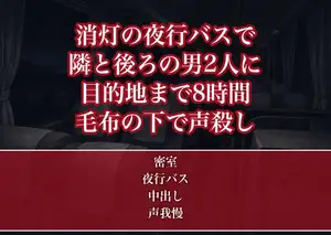 消灯した夜行バスで隣と後ろの見知らぬ男2人に目的地まで8時間ずっと毛布の下で身体をまさぐられ声を殺したまま中出しされた帰省中のOLの話