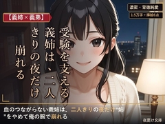 【義姉×義弟】受験を支える義姉は、二人きりの夜だけ崩れる [夜更け文庫]