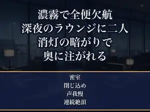 濃霧で全便が欠航し閉鎖された深夜の空港ラウンジで、足止めされた寡黙な機長と客の私だけが取り残され、消灯した暗がりで声を殺したまま朝まで奥に注がれた出張OLの話