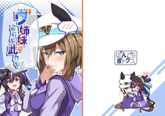 ヴ姉妹のあれや此れや [ぱんどらボックス]