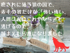 癒されに通う狼の国で、赤毛の彼だけが「怖い怖い、人間はんはこれやから」と逃げるので、捕まえたら番になりました [Flower Power]