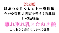 訳あり女性タレント一斉検挙 今が全盛期 北関東を愛する熟乳編 完全版 [ponta乳首偏愛]