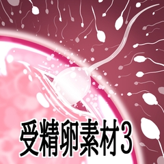 受精卵素材3 [水の木]