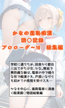 かなの羞恥痴漢調○記録 総集編 の表紙