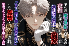 王への魔力供給という名の夜伽を扉の外で耐えていた幼馴染の騎士が豹変〜「もう二度と王へは返さない」と監禁・執着され、毎夜どちゅどちゅ抱き潰される話 [ゆらくらげ]