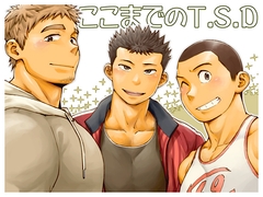 ここまでのT.S.D [昆布茶のさーくる]