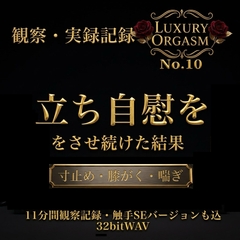 No.10【セリフなし】膝がくがく限界寸止め『立ちオナニー』〜11分間の過呼吸生殺し体験〜 — LUXURY ORGASM [Luxury Orgasm]