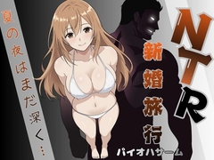 NTR新婚旅行〜夏の夜はまだ深く…〜 [パイオハサーム]