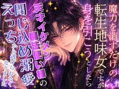 魔力を消すだけの転生地味女ですが、身を引こうとしたら、天才イケメン魔法使い様の閉じ込め溺愛えっちから逃げられなくなりました [秋風の秘密の図書館]