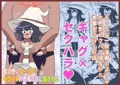 魔法使いエーミア セクハラ詐欺魔法店に騙される ～ぽんこつ魔法使いと剣士さんifシリーズ(2)～ [けぇわい園]