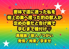 密林で道に迷った私を樹上の巣へ攫った豹の獣人が定めの番だと告げ縄で逃げられないようにしたまま二十二年ぶんの発情ごと孕むまで種付けした話 [ドンブリ庫]