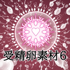 受精卵素材6 [水の木]