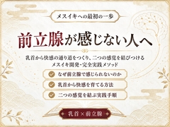 前立腺マッサージ器 挿れるだけでは気持ちよくなれない 乳首と前立腺を結びメスイキできる身体へ導く 究極快楽メスイキを発動させるための「乳首と前立腺快楽の繋げ方」 [男性が乳首やお尻を使って絶頂(メスイキ・ドライオーガズム)するを極める件]