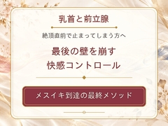 乳首と前立腺 絶頂直前で止まってしまう方へ 最後の壁を崩す快感コントロール メスイキ到達の最終メソッド [男性が乳首やお尻を使って絶頂(メスイキ・ドライオーガズム)するを極める件]