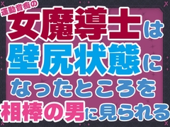 運動音痴の女魔導士は壁尻状態になったところを相棒の男に見られる [お姫様の休日]