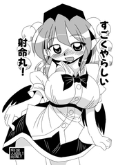 すごくやらしい射命丸