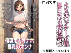 AVのパッケージ風画像が作れる素材集2 [エロ同人素材のお店]