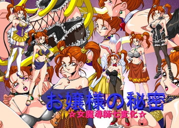 お嬢様の秘密～女魔導師七変化～ [桜姫楼]