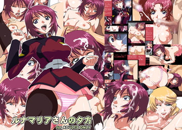 ルナマリアさんの夕方 [iroiro]