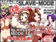 スレイヴモード+タクティカルパック+DL版 [クイーンホーネット]