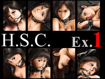H.S.C. イラストコレクション Ex.1 [H.S.C.]