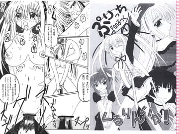 くるりんいか [取石雑貨店]