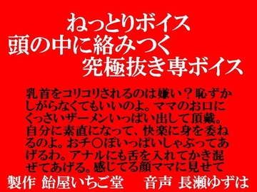 ねっとりボイス・頭の中で絡みつく究極抜き専ボイス [飴屋いちご堂]