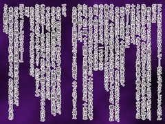 永遠はいらない−前編− [Lunaria]