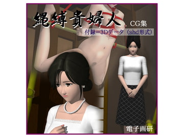 縄縛貴婦人 [電子画研]