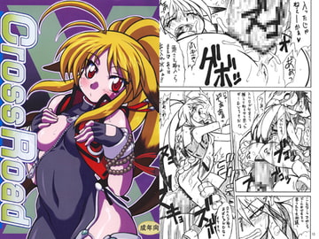 Cross Road [迷い猫]