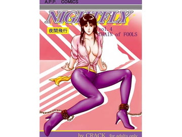 NIGHTFLY vol.4 [アトリエピンポイント]