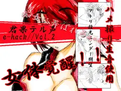e-hack//vol.2 君果テル声