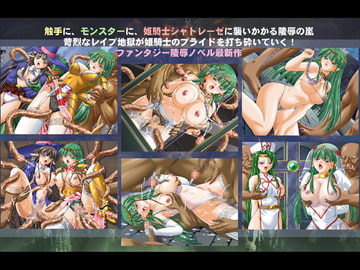 DeepPrincess3 [小山電脳技研]