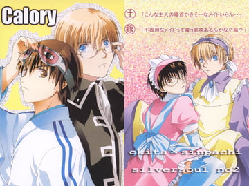 Calory エネルギー1 [色々雑貨店]