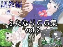 ふたなりCG集vol.2