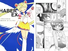 HABER EX VIII