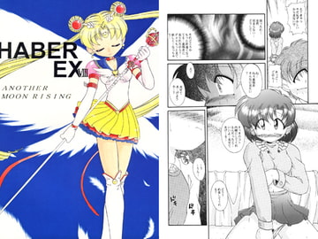 HABER EX VIII [RPGカンパニー2]