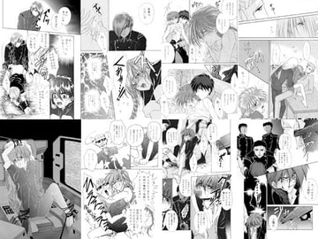 2受 Selection [葉月妖之助・妖怪倶楽部]